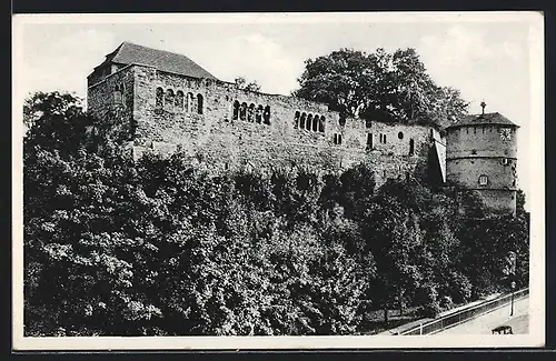 AK Eger, Blick auf Ruine Kaiserburg