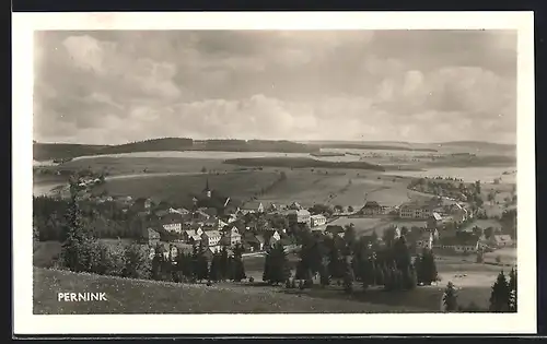 AK Pernink, Blick von der Bergwiese auf den Ort