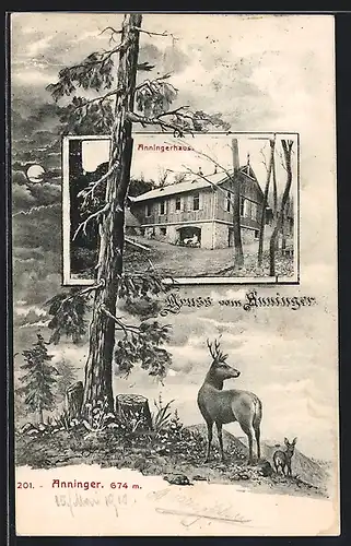 AK Anninger-Haus auf dem Anninger mit Rehen