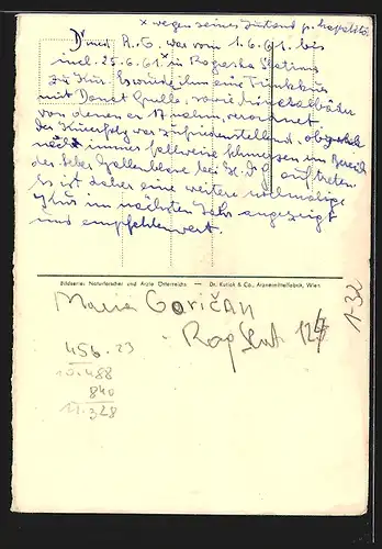 AK Franz Chvostek jun., Professor der II. Medizinischen Klinik in Wien