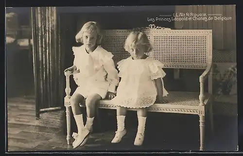 AK Les Princes Leopold et Charles de Belgique