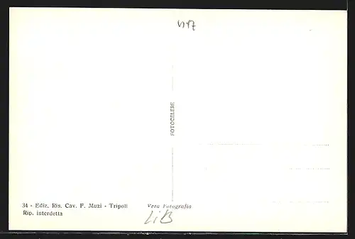 AK Tripoli, Panorama