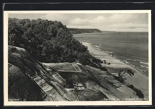 AK Rauschen /Samland, Ostseebad, Steilküste