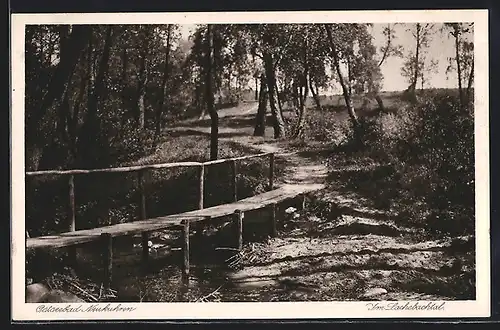 AK Neukuhren, Ostseebad, Im Lachsbachtal