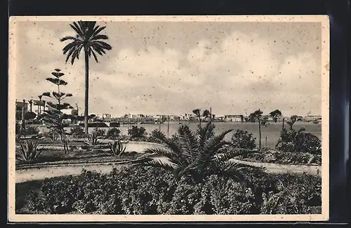 AK Tripoli, Giardini Pubblici