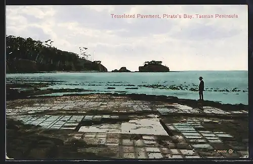 AK Pirate`s Bay /Tasman Peninsula, Tesselated Pavement