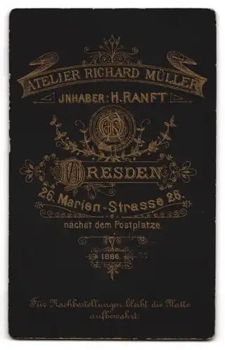 Fotografie Atelier Müller Inh. H. Ranft, Dresden, Marienstrasse 26, Junge Frau mit lockiger Frisur