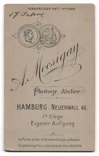 Fotografie A. Mocsigay, Hamburg, Neuerwall 46, Junge Dame im karierten Kleid mit breiter Hochsteckfrisur