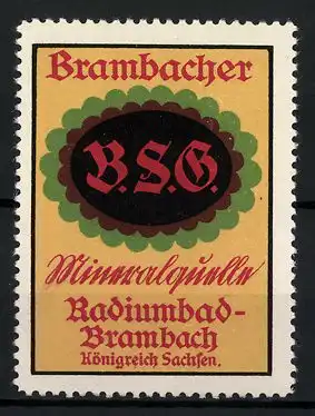 Reklamemarke Brambacher Mineralquelle, Radiumbad-Brambach, Firmenlogo B.S.G.