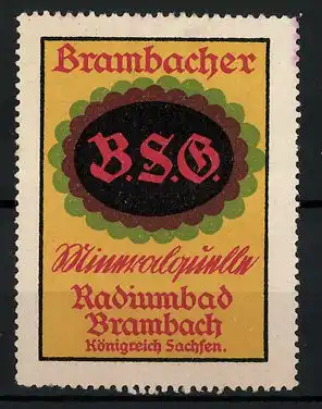 Reklamemarke Brambacher Mineralquelle, Radiumbad-Brambach, Firmenlogo B.S.G.