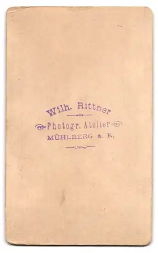 Fotografie Wilh. Rittner, Mühlberg a. E., Junger Herr im Anzug mit Fliege