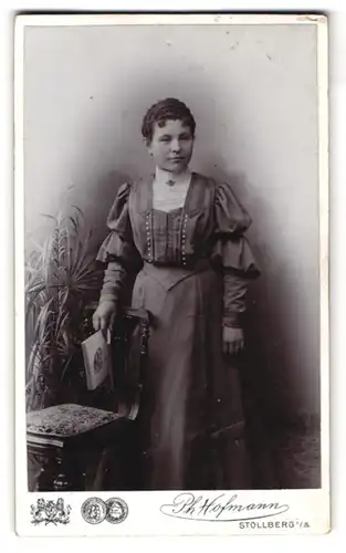 Fotografie Ph. Hofmann, Stollberg i. S., Junge Dame im Kleid mit Buch