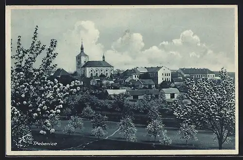 AK Trebenice, Panorama