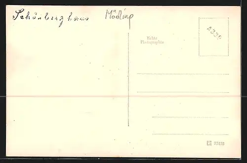 AK Schönberghaus, Mödling, Berghütte mit Vorplatz und Besuchern