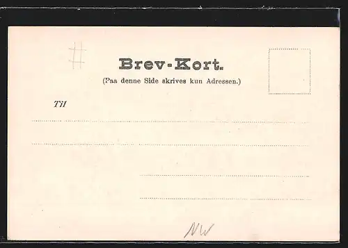 AK Aalesund, Generalansicht