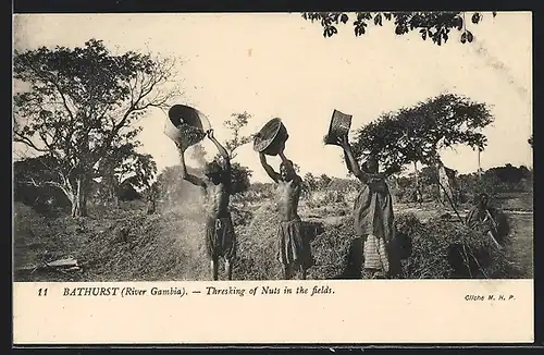 AK Bathurst, Thresking of Nuts in the fields