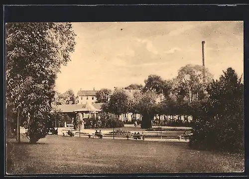 AK Bad Kudowa, Parkpartie mit Spaziergängern