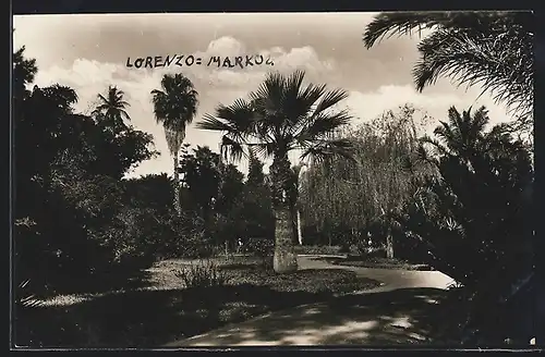 AK Lourenzo-Marques, Palmenweg im Park