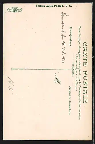 AK Alger, Les Palmiers de la Régence et le Minaret