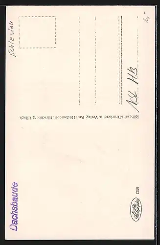 AK Nieder-Schreiberhau, Dachsbaude mit Koppenblick