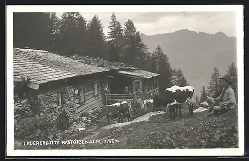 AK Ledererhütte, Berghütte auf der Rastötzenalm mit Kühen