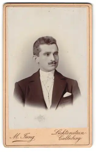 Fotografie M. Jung, Lichtenstein-Callnberg, Schulgasse 175, Herr im Anzug mit Schnurrbart