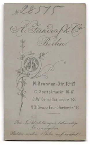 Fotografie A. Jandorf & Co., Berlin, Brunnenstrasse 19-21, Bürgerliche Dame mit Hochsteckfrisur