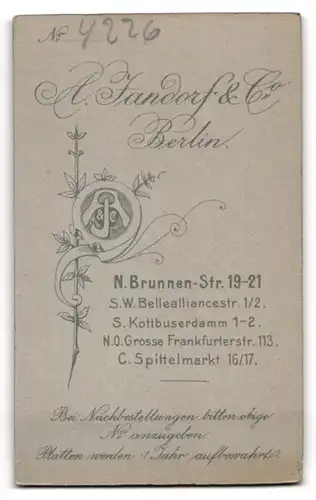 Fotografie A. Jandorf & Co., Berlin, Brunnenstrasse 19-21, Junger Herr im Anzug mit Krawatte