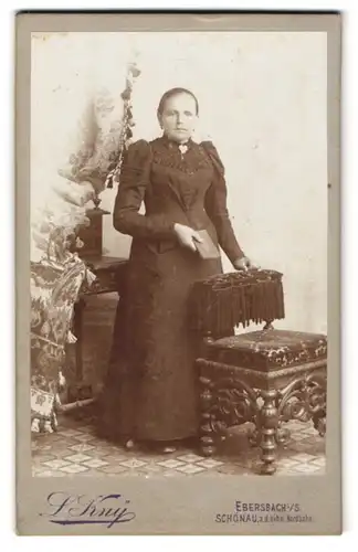 Fotografie L. Kny, Ebersbach i. S., Bürgerliche Dame mit einem Buch