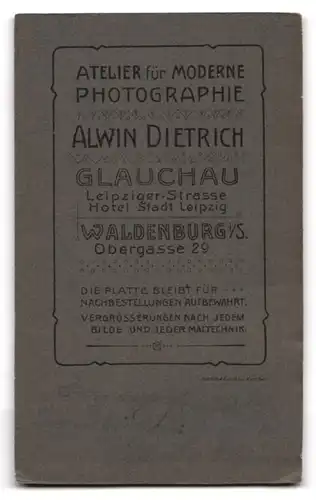 Fotografie A. Dietrich, Glauchau, Leipziger-Strasse, Bürgerliche Dame mit Buch am Tisch