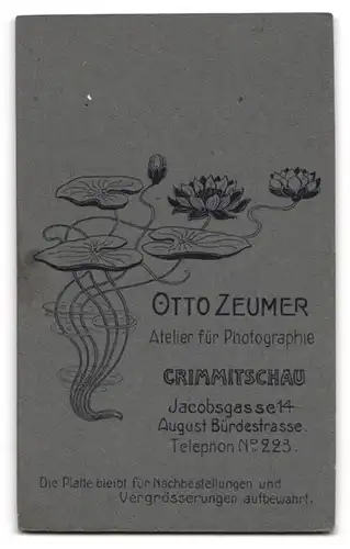 Fotografie Otto Zeumer, Crimmitschau, Jacobsgasse 14, Hübscher Knabe im Anzug mit Fliege
