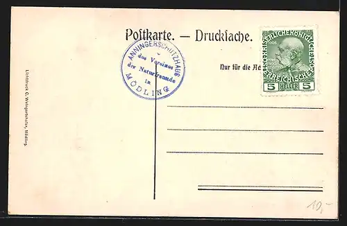 AK Anningerhaus, Mödling, Gebäudeansicht mit Gästen und Strasse