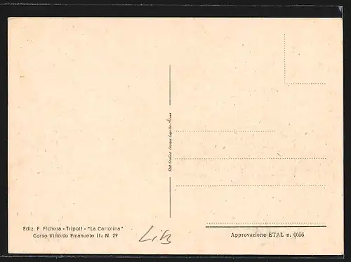 AK Tripoli, Veduta panoramica
