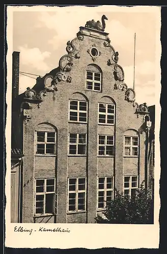 AK Elbing / Elblag, Kamelhaus, Teilansicht