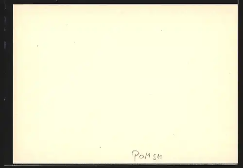 AK Schneidemühl, Regierungsdienstgebäude