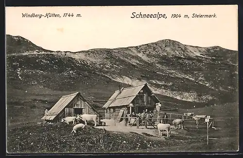 AK Windberg-Hütten, Kühe vor der Hütte, Schneealpe