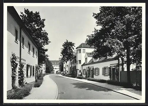 AK Berlin-Siemsstadt, Siedlung Siemensstadt, Rapsstrasse