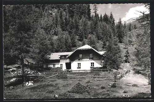 AK Falkerthaus mit Tannen