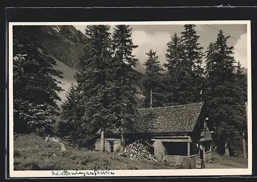 AK Schattenlaganthütte, Ortspartie mit Berghütte