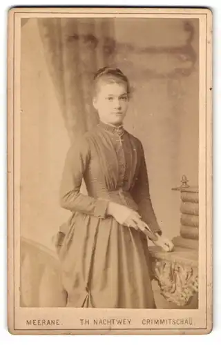 Fotografie Th. Nachtwey, Meerane, am Neumarkt, Junge schöne Dame im taillierten Kleid mit Kreuzkette und Buch