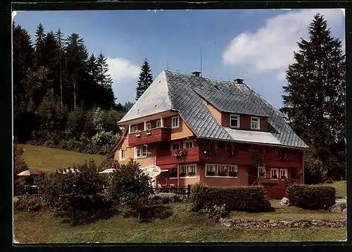 AK Hinterzarten /Hochschwarzwald, Hotel-Pension Haus Gremmelspacher, Windeckweg 25