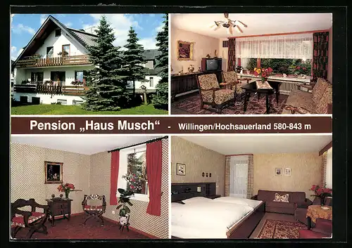 AK Willingen /Hochsauerland, Hotel-Pension Haus Musch, Briloner Strasse 17