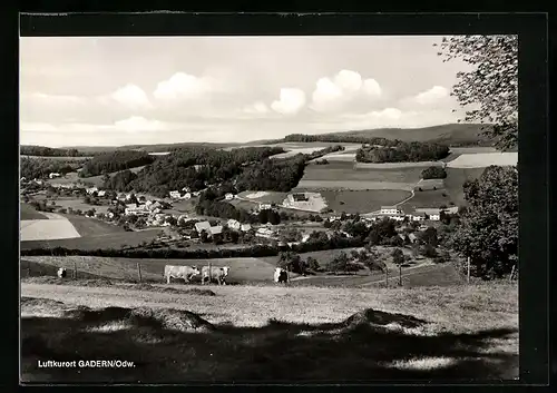 AK Gadern /Odw., Gasthaus und Pension Zur Erholung, Ortsansicht