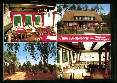 AK Bomlitz /Uetzingen, Restaurant u. Café Zum Wacholderhain, Walsroder Strasse 114