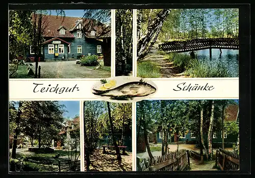 AK Gr. Oesingen, Gasthaus Teichgut-Schänke