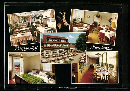 AK Ahrenberg, Berggasthof Ahrenberg, Innenansichten Gasträume, Garten