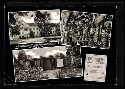 AK Essen / Ruhr, Landesschule der Kleingärtner für Obst- und Gemüsebau, Külhammerweg 40