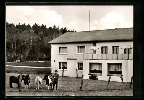 AK Werl am Stadtwald, Hotel-Pension Monyhof, Wickeder Strasse 98