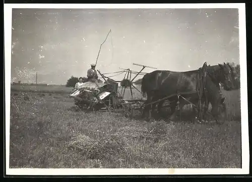 Fotografie Bauer auf Mäher mit Pferden bei der Ernte