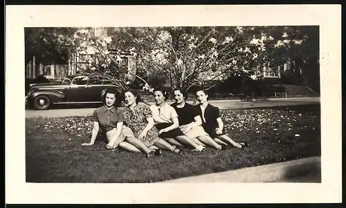 Fotografie Porträt von fünf Damen auf einer Wiese, USA 1939